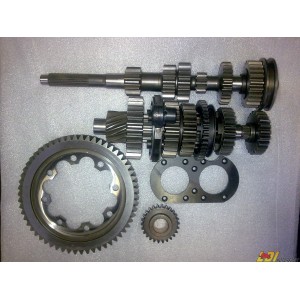 Pi&ntilde;oner&iacute;a y grupo JC5